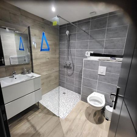 Appartement Entierement Renove A Neuf 101 圣艾蒂安 外观 照片