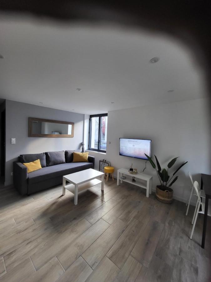 Appartement Entierement Renove A Neuf 101 圣艾蒂安 外观 照片